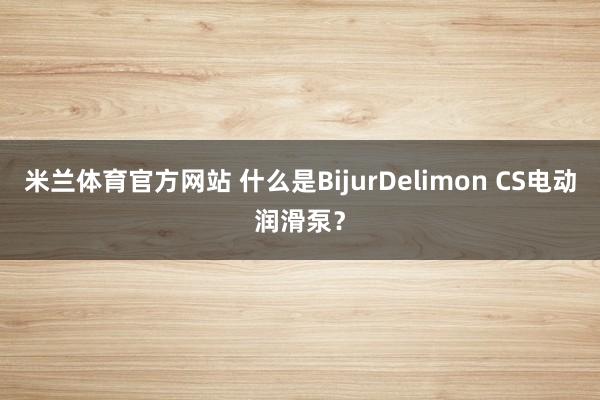 米兰体育官方网站 什么是BijurDelimon CS电动润滑泵?