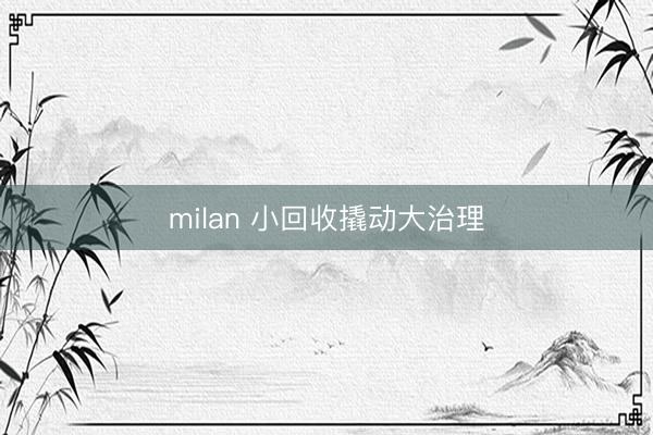 milan 小回收撬动大治理
