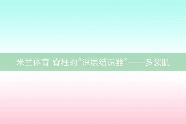 米兰体育 脊柱的“深层结识器”——多裂肌