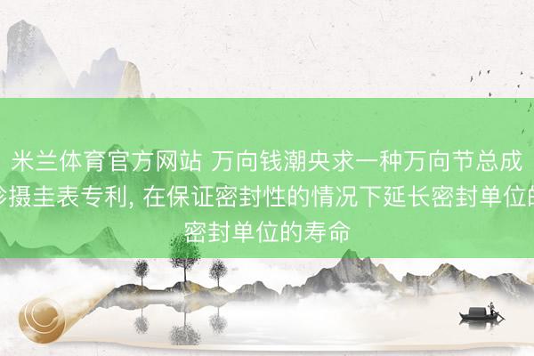 米兰体育官方网站 万向钱潮央求一种万向节总成以及珍摄圭表专利， 在保证密封性的情况下延长密封单位的寿命