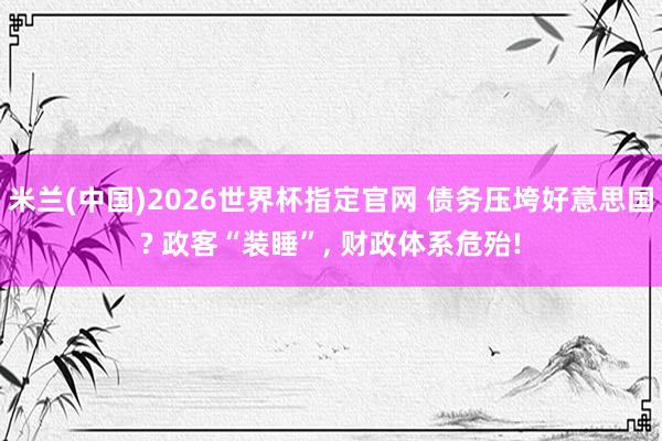 米兰(中国)2026世界杯指定官网 债务压垮好意思国? 政客“装睡”， 财政体系危殆!
