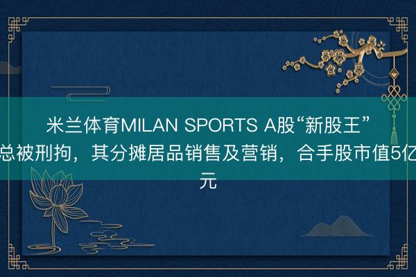 米兰体育MILAN SPORTS A股“新股王”副总被刑拘，其分摊居品销售及营销，合手股市值5亿元