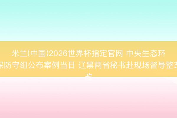 米兰(中国)2026世界杯指定官网 中央生态环保防守组公布案例当日 辽黑两省秘书赴现场督导整改