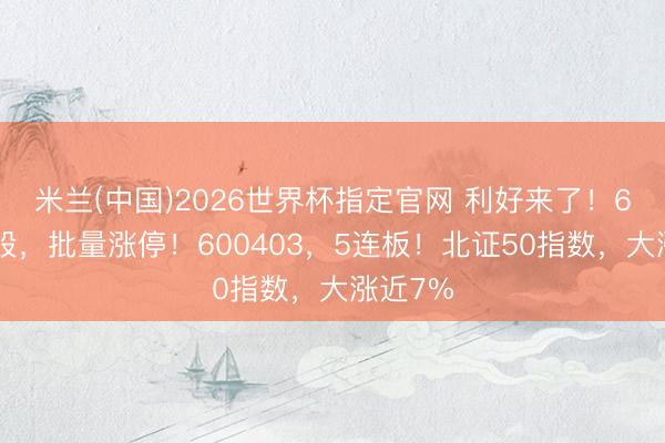 米兰(中国)2026世界杯指定官网 利好来了！6G观念股，批量涨停！600403，5连板！北证50指数，大涨近7%
