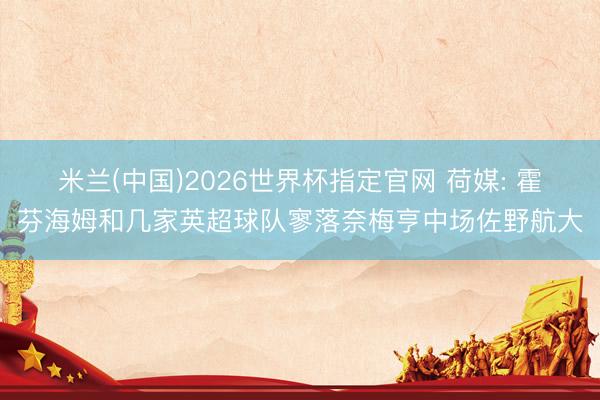 米兰(中国)2026世界杯指定官网 荷媒: 霍芬海姆和几家英超球队寥落奈梅亨中场佐野航大